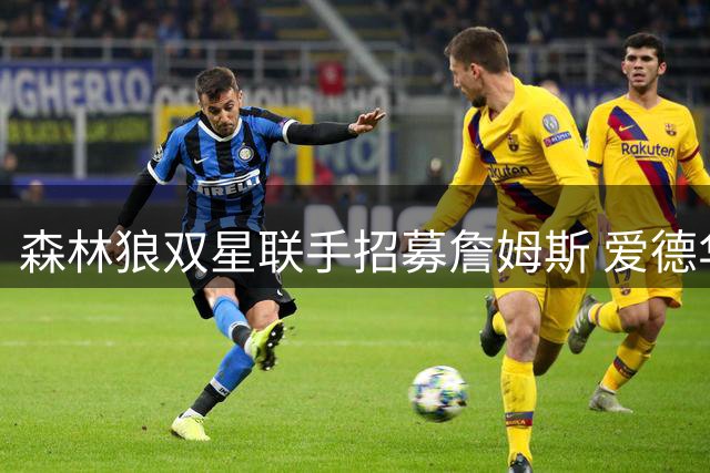 森林狼双星联手招募詹姆斯 爱德华兹与鲍尔亲自致电游说